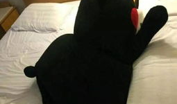 情侣羞羞视频,情侣私密视频背后的浪漫故事