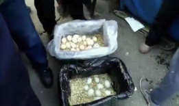 老太太啪啪视频,老太太啪啪视频事件引发的深思